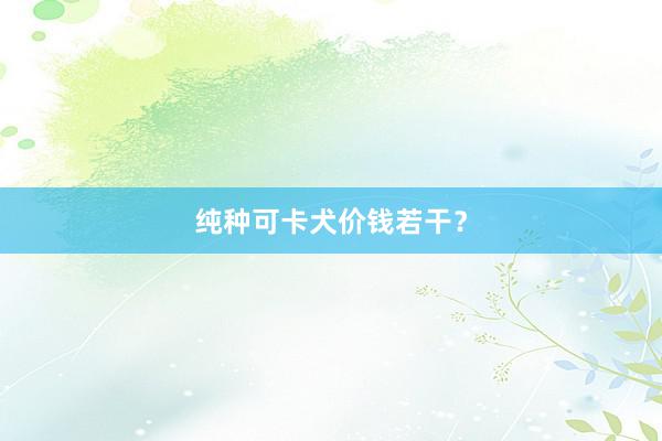纯种可卡犬价钱若干？